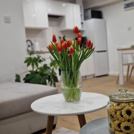 Apartament Na Skalkach Jelenia Góra Extérieur photo