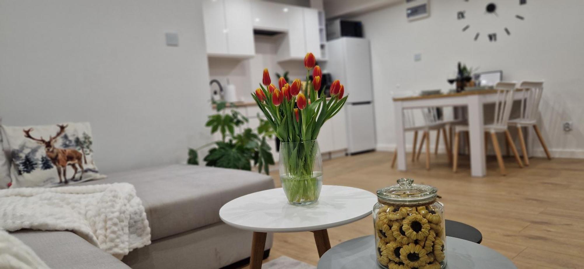 Apartament Na Skalkach Jelenia Góra Extérieur photo